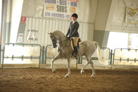 133 HA/AA HUNTER PLEASURE CHAMPIONSHIP JTR