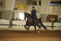 126 HA/AA WESTERN PLEASURE CHAMPIONSHIP AATR