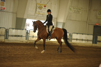 111 Arabian Hunter Pleasure Jr Horse Champ