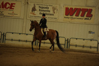 93 Arabian Hunter Pleasure Select Rider ATR