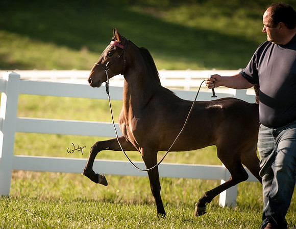 2020WahlMay-6383-EditHighRes300dpi_PRINTto10inch