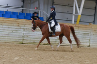672 HA:AA Sport Horse Show Hack ATR