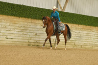 424 Arabian Ranch Horse Rail Pleasure Open