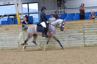 SHUS XIV
