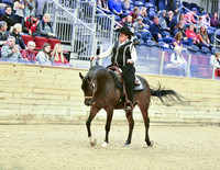 15 Junior Horse