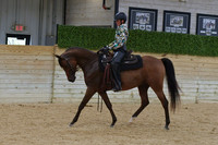 674 A:HA:AA Western Dressage Suitability Open