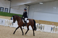 668 HA:AA Sport Horse Show Hack Open