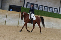 670 HA:AA Sport Horse Under Saddle AOTR $