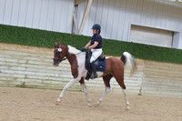 677 HA:AA Sport Horse Under Saddle Junior Horse
