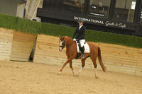 337 Western Dressage Suitability Open