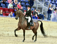 Show Hack 23, 86