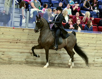 13A HA English JTR Select