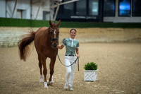 300 A:HA:AA Sport Horse In Hand Showmanship