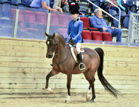 28B JTR 14 & Under