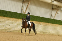 330 HA:AA Sport Horse Under Saddle Junior Horse