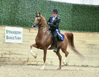 HA/AA Country English Pleasure 11, 13, 13A, 24, 27, 58, 74, 82, 94