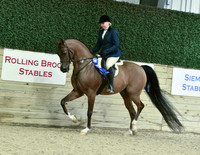 Arabian Hunter Pleasure 18, 28B, 31, 54, 57, 67A, 75, 80, 90