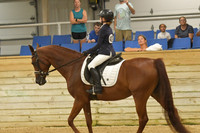 332 Sport Horse Under Saddle Walk:Trot 10 & Under
