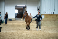 33 Arabian Mare Breeding ATH
