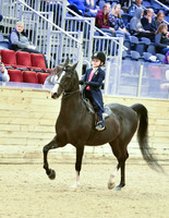 Walk/Trot Division 16, 55, 72, 89