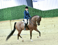 31 Junior Horse
