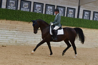 663 HA:AA Sport Horse Under Saddle Open