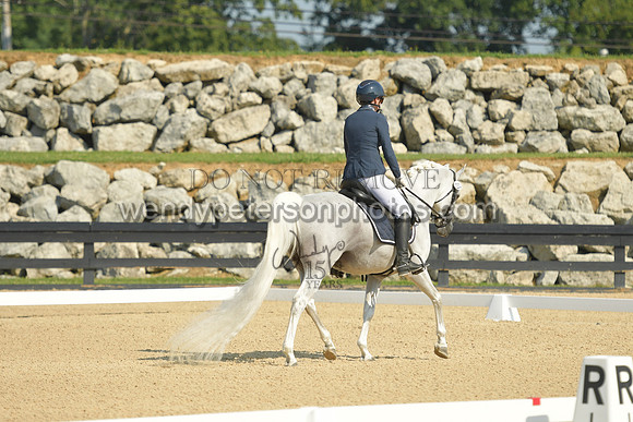 231_8176