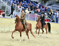 25A PB Country Junior Horse Limit