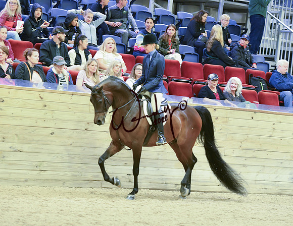 031_0698