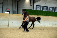35 Arabian Stallion Breeding ATH