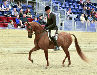 HA/AA Hunter Pleasure 25, 33, 66, 68, 83, 95