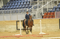 407 HA:AA English Trail Horse Open
