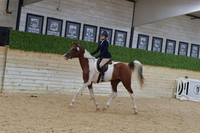 675 HA:AA Sport Horse Under Saddle AATR