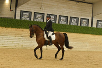 333 HA:AA Sport Horse Show Hack Open
