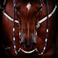 Robinson; Digital Image Ready for Download