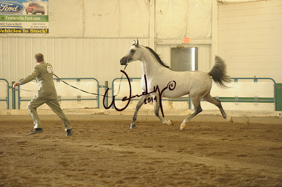 WP2_4713