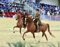 25A Junior Limit Horse