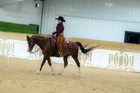 24 Arabian Ranch Rail Pleasure Open