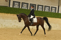 340 HA:AA Sport Horse Under Saddle AATR