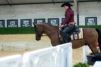 22 Arabian Ranch Riding ATR