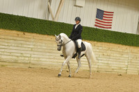 331 Arabian Sport Horse Under Saddle AATR