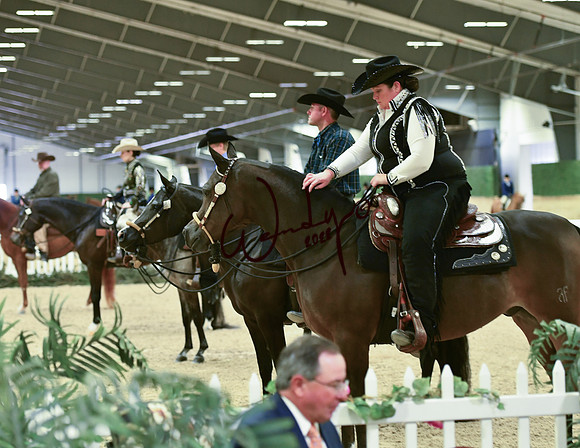 015_0291